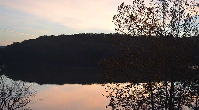 A peaceful, early dawn lake scene looking out across the water to a tree covered hill on the opposite shore. The sun is just rising so the distant trees are dark and somewhat obscure, with the still water reflecting the hillside and sky overhead like a mirror. There is a thinly-leafed tree in the right foreground of the image.