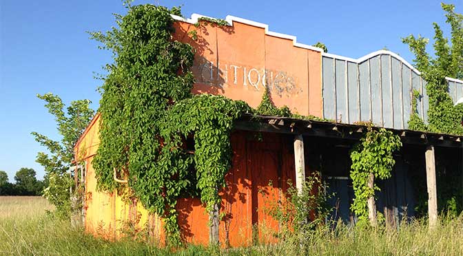An abandoned wooden storefront is in the center of the image, with weeds surrounding the ground and vines growing up the sides and front of the building. A clear blue sky is overhead.